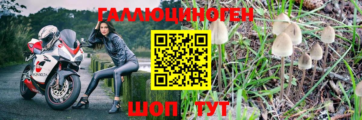 Псилоцибиновые грибы ЛСД  Вход с VPN  Галлюциногенные грибы мухоморы  Партизанск 